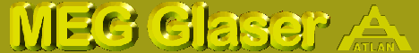 berufliche homepage