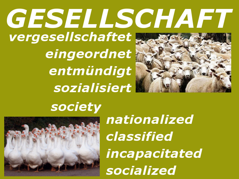 gesellschaft
