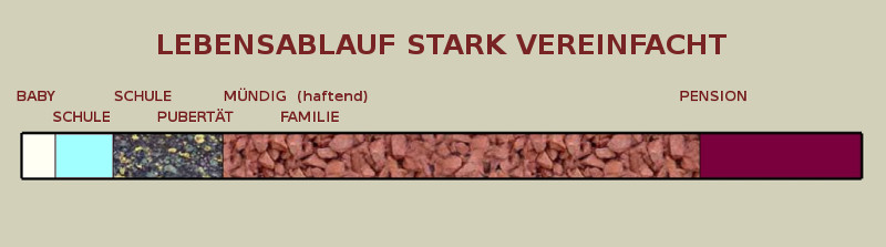 timelinepubertaet